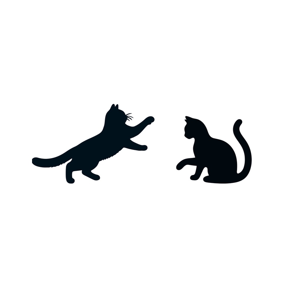 katzen